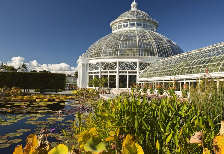 New York Botanical Garden