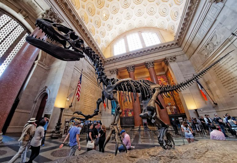 American Museum of Natural History