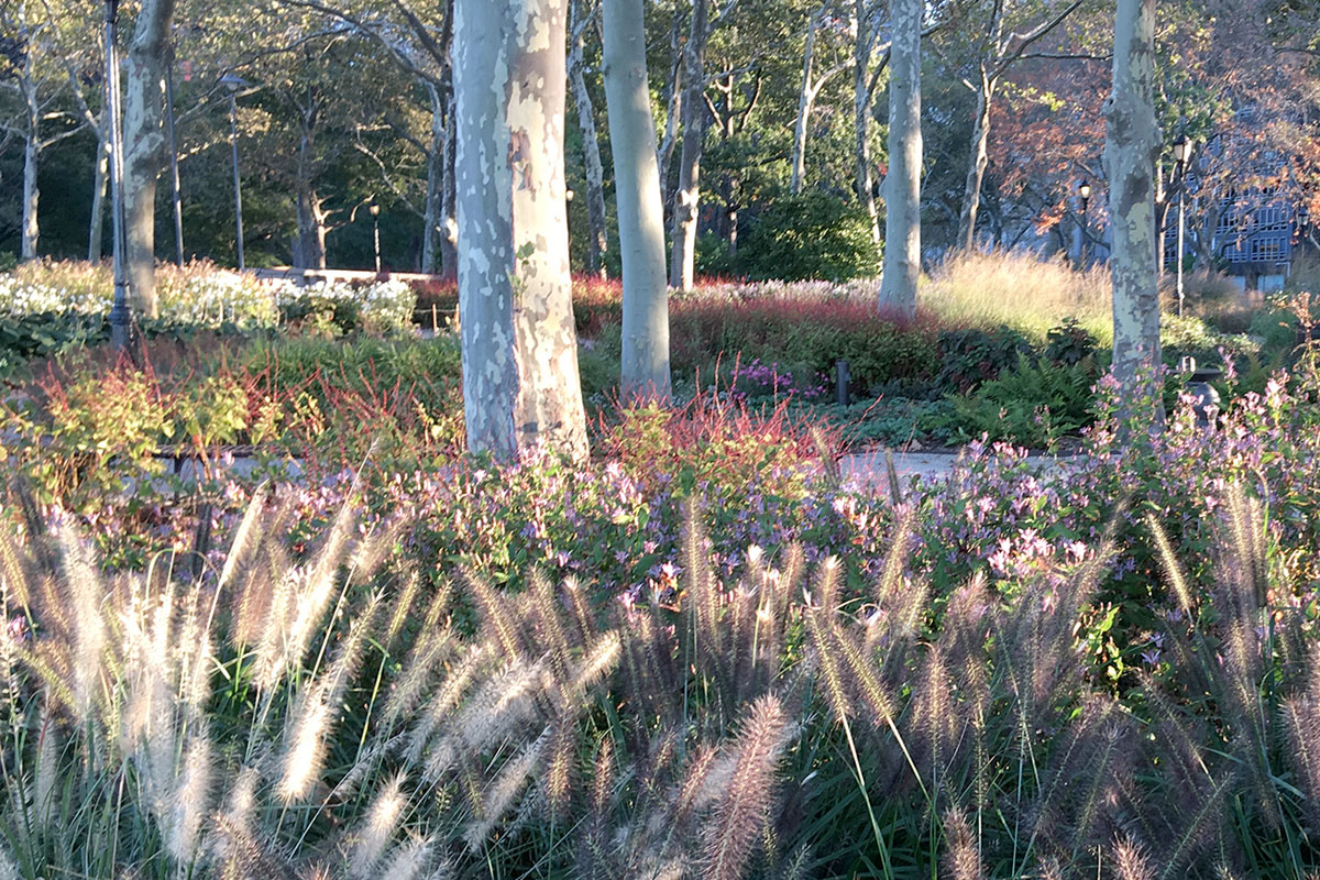 Battery Park